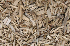 biomass boilers Llanynghenedl