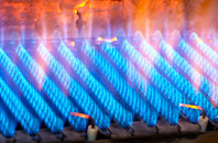 Llanynghenedl gas fired boilers